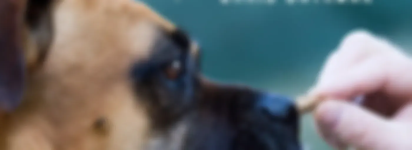 Canine Master - Dog training and behavior on Pet Life Radio (PetLifeRadio.com)