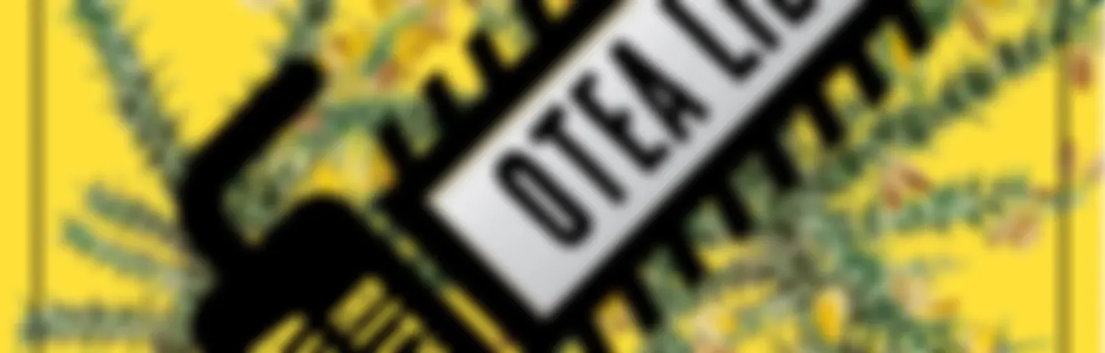 NAIZ IRRATIA - Otea lili | naiz.eus
