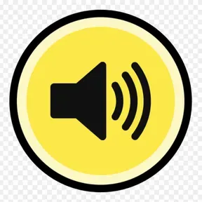 GUARAGUAO FM