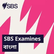 The Social Schism: How did we get here? - SBS Examines: অস্ট্রেলিয়ায় সামাজিক বিভাজন ১ম পর্ব: আমরা এই পর্যায়ে কীভাবে পৌঁছলাম?