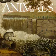 The Animals: Steven, Beaver