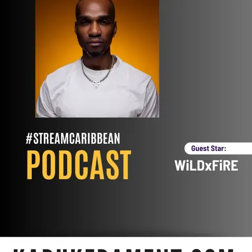 #streamcaribbean with WiLDxFiRE (part 2)