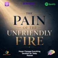 “The Pain of the Unfriendly Fire”