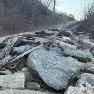 Bk. 1, Pt. 3, Ch. 15: Advance! Advance to Ignominy!