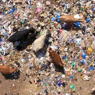 La jeunesse de Zinder débat de son rôle dans la protection de l’environnement