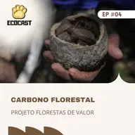 [#ESPECIAL CARBONO] Carbono Florestal