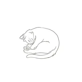 hot kitty