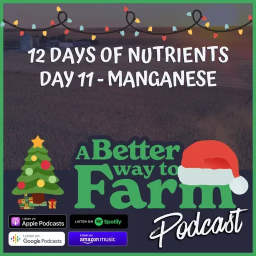12 Days of Nutrients - Day 11: Manganese
