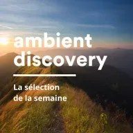 La semaine ambient, avec Alyas, Purl et la compilation Dive In 8