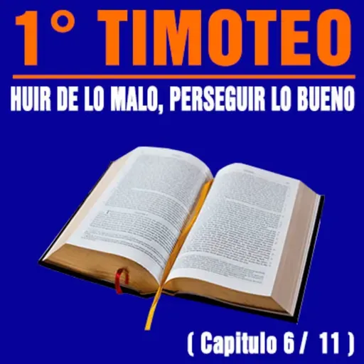 Huir de lo malo, perseguir lo bueno ( 1ª Timoteo 6 / 11 )