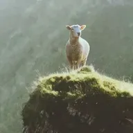 ☆Donde te Perdíste☆