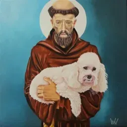 Radio São Francisco Assis