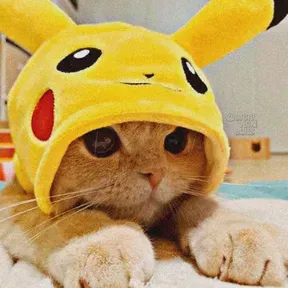 Cathradio