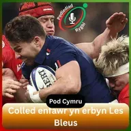 Colled enfawr yn erbyn Les Bleus