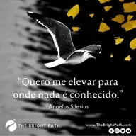 Voando com a intuição…