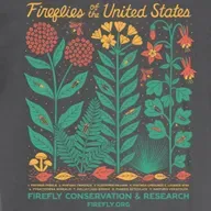 Ep. 557 - How to Help Fireflies