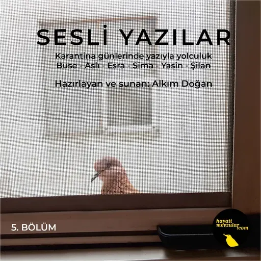 Sesli Yazılar V