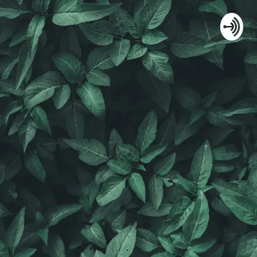 6° ano - O sistema nervoso