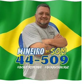 Mineiro do Som