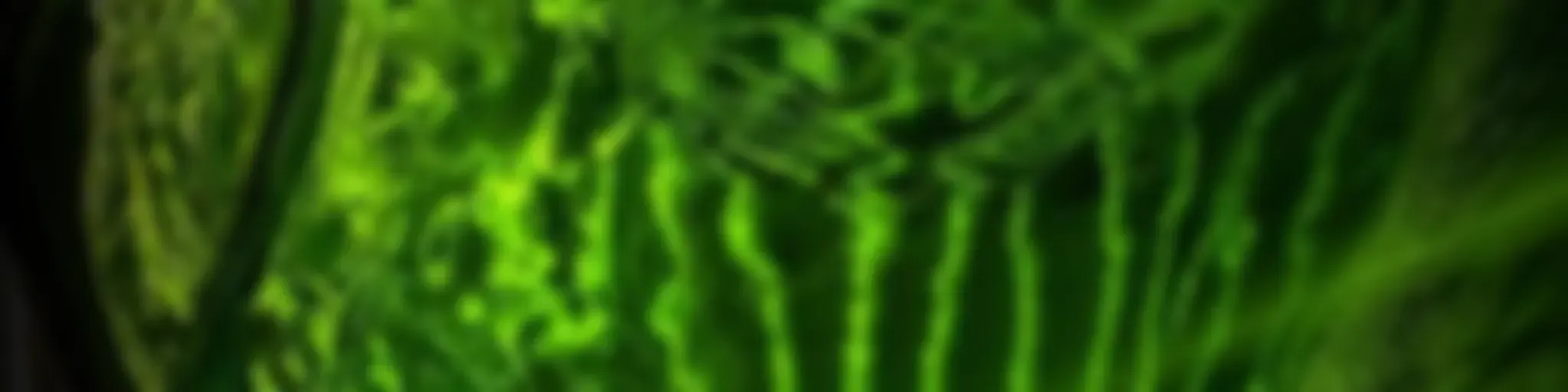 Disciplinas Alternativas