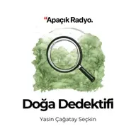 Nezahat Gökyiğit Botanik Bahçesi, Türkiye Florası ve Bitki Adlandırmasının Önemi