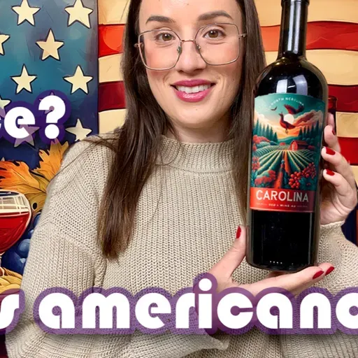 Conheça o Vinho americano! #vinhoamericano