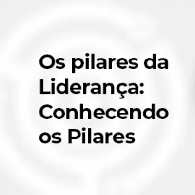 Os Pilares da Liderança - Pcontrol Podcast #283