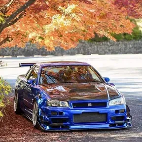 supreme