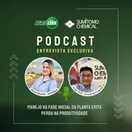 Entrevista Exclusiva - Manejo na fase inicial da planta evita perda na produtividade
