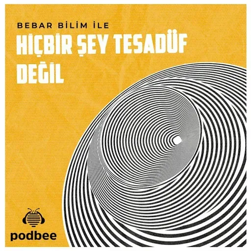 Kum Tanesindeki Evren