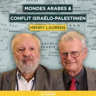 Les mondes arabes face au conflit israélo-palestinien. Avec Henry Laurens | Entretiens géopo