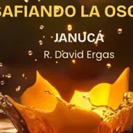 RAB DAVID ERGAS- JANUCA- DESAFIANDO LA OBSCURIDAD