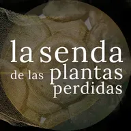 Las duras semillas de la amargura: Strychnos sp. {SPP 087}