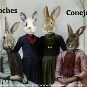 Noches Conejas