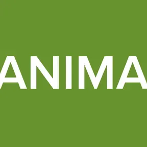 CODERE ANIMAS BANDA