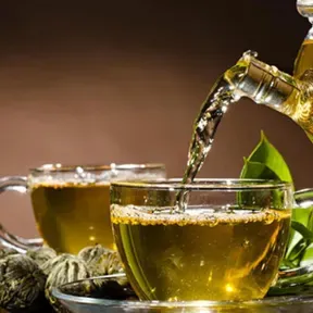 green tea to lose weight