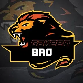 Gaveen bro fm watch