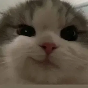 Santos