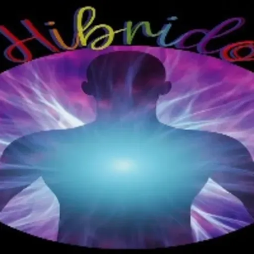 Hibrido 26022026 p387