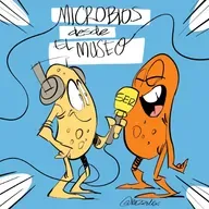 Microbios en el Museo: "El reto de comunicar ciencia con ciencia"