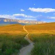El diezmo