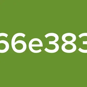 66e383
