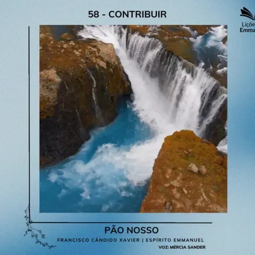 Pão Nosso - 58. Contribuir