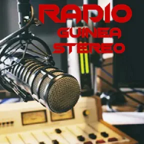 GuineaStereo