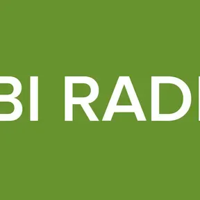 ABI RADIO