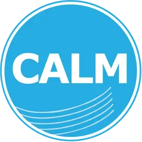 Calm Radio - Flute