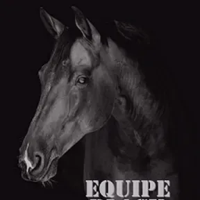 black horse