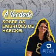 Observatório das. Origens - A verdade sobre os embriões de Haeckel