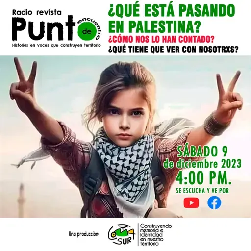 T2P6 - ¿Qué está pasando en Palestina?