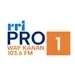 RRI - Pro 1 Way kanan